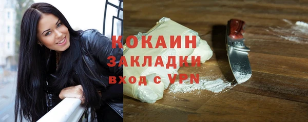 МДПВ Дмитриев