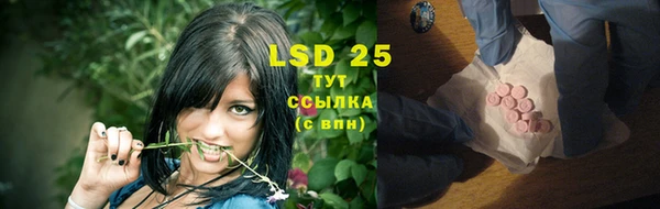 прущие грибы Абаза