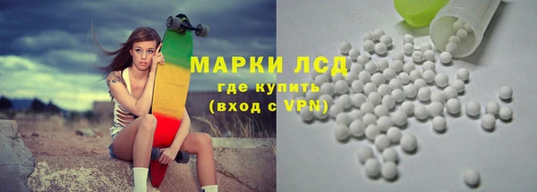 прущие грибы Абаза