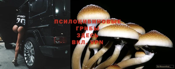 Альфа ПВП Абинск