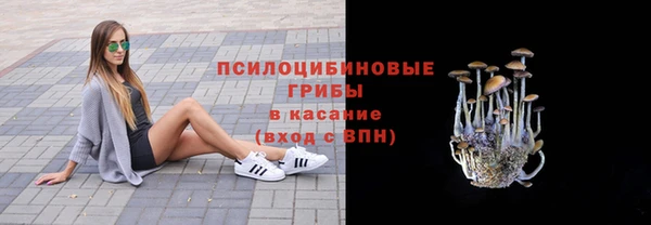 прущие грибы Абаза