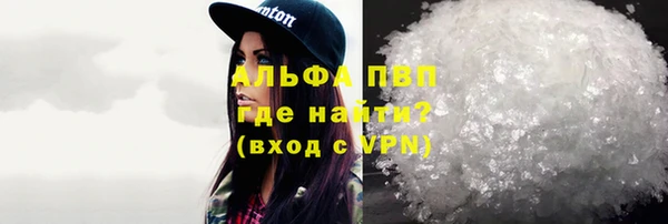 прущие грибы Абаза