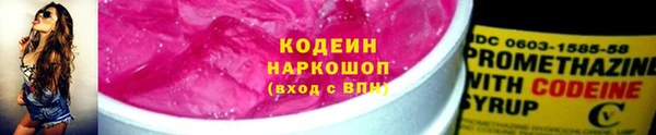 прущие грибы Абаза