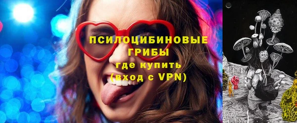 прущие грибы Абаза
