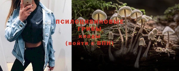 Альфа ПВП Абинск